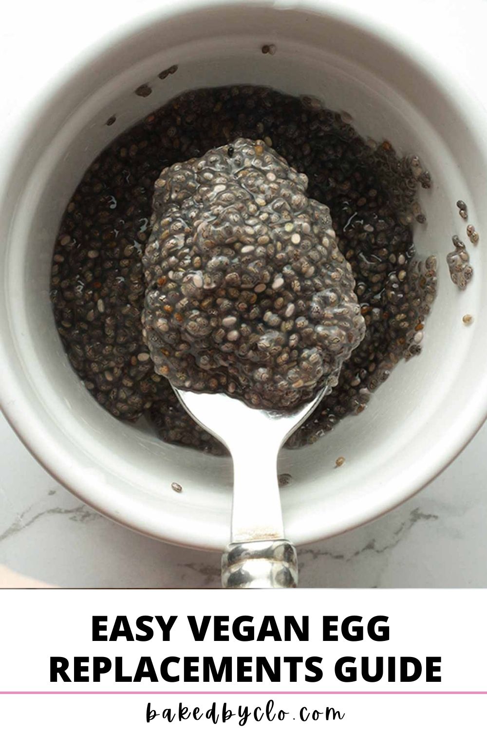 image of chia egg alongside text that reads "easy vegan egg replacements guide"