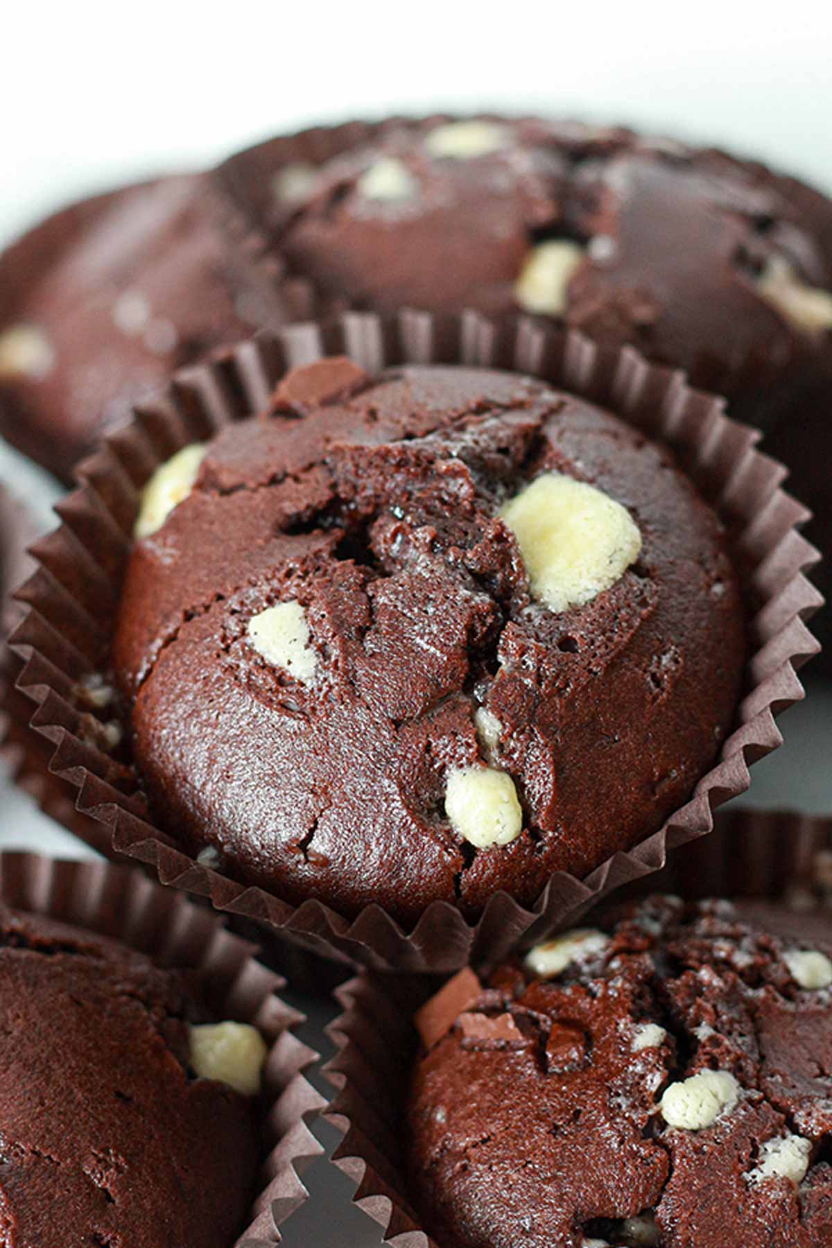 chocolate muffins with white chocolate chips