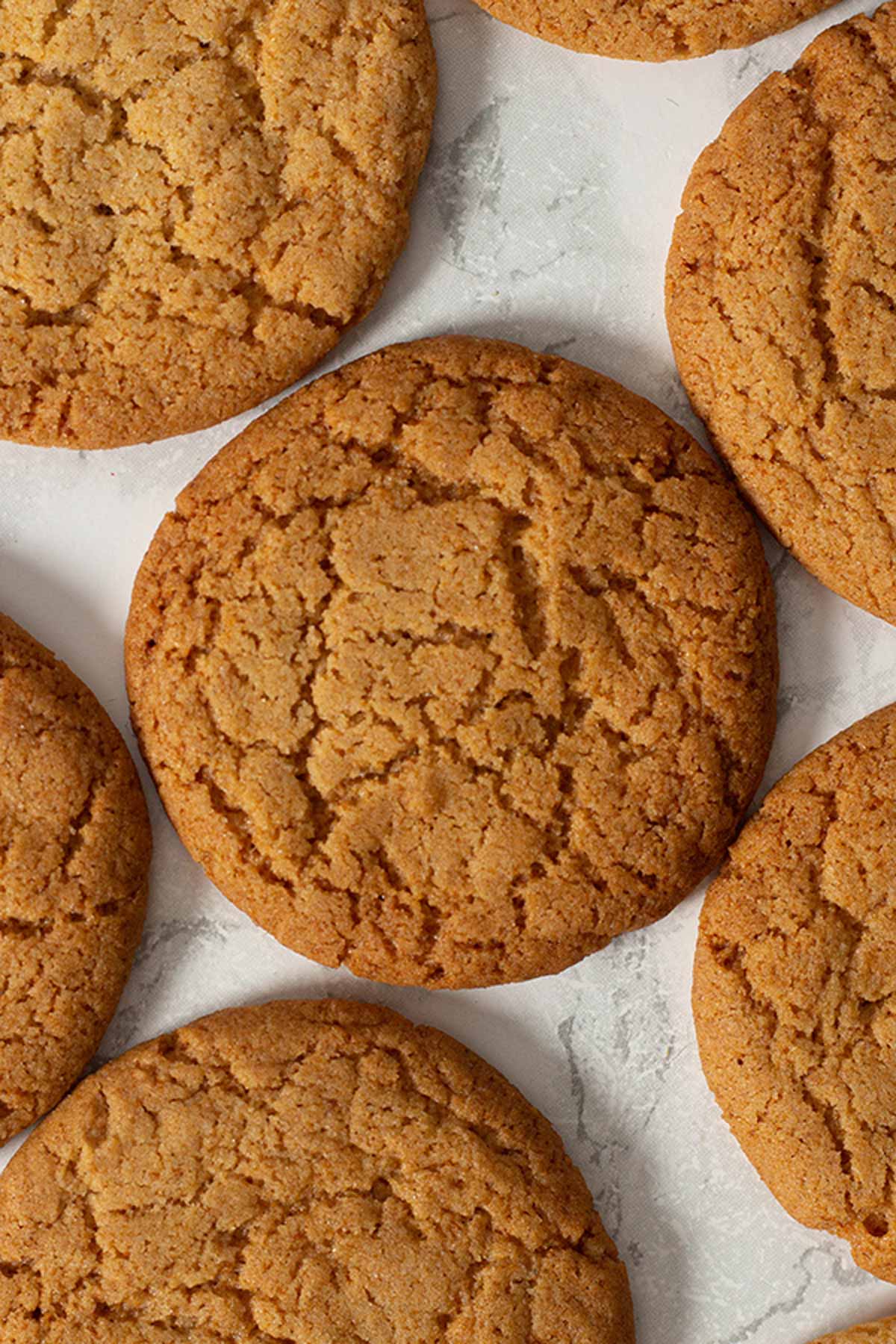 Gingernut Biscuits laying On White Surface2