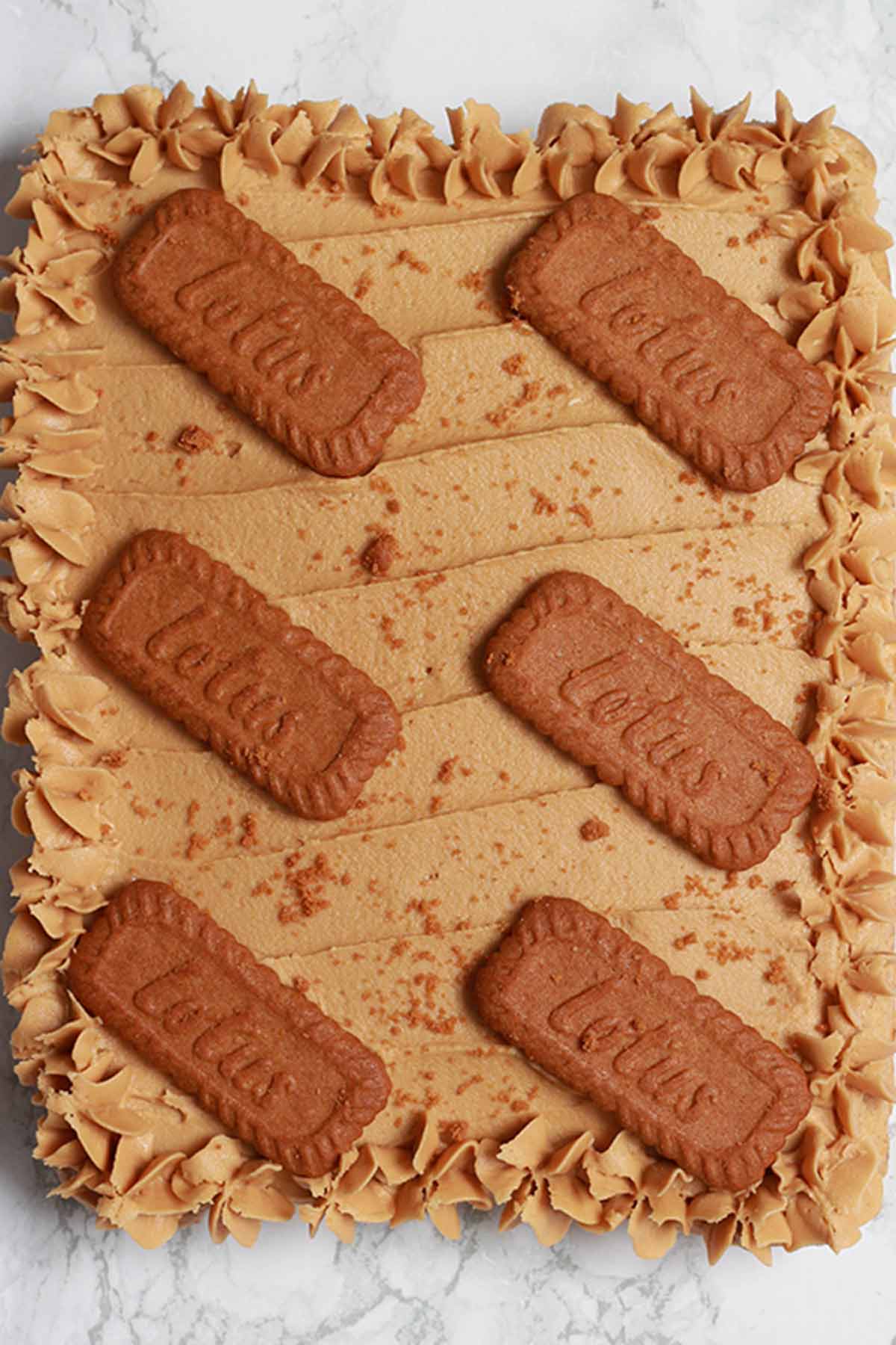 Biscoff Traybake with buttercream and biscuits on top