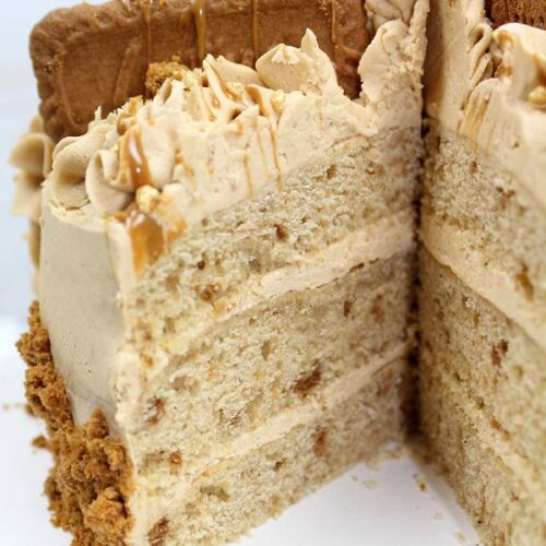 Vegan Biscoff Cake - BakedbyClo | Vegan Dessert Blog