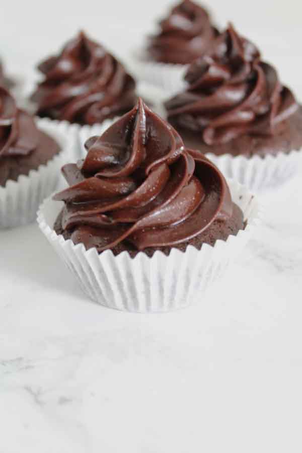 vegan chocolate cupcakes in paper cases with dark chocolate frosting