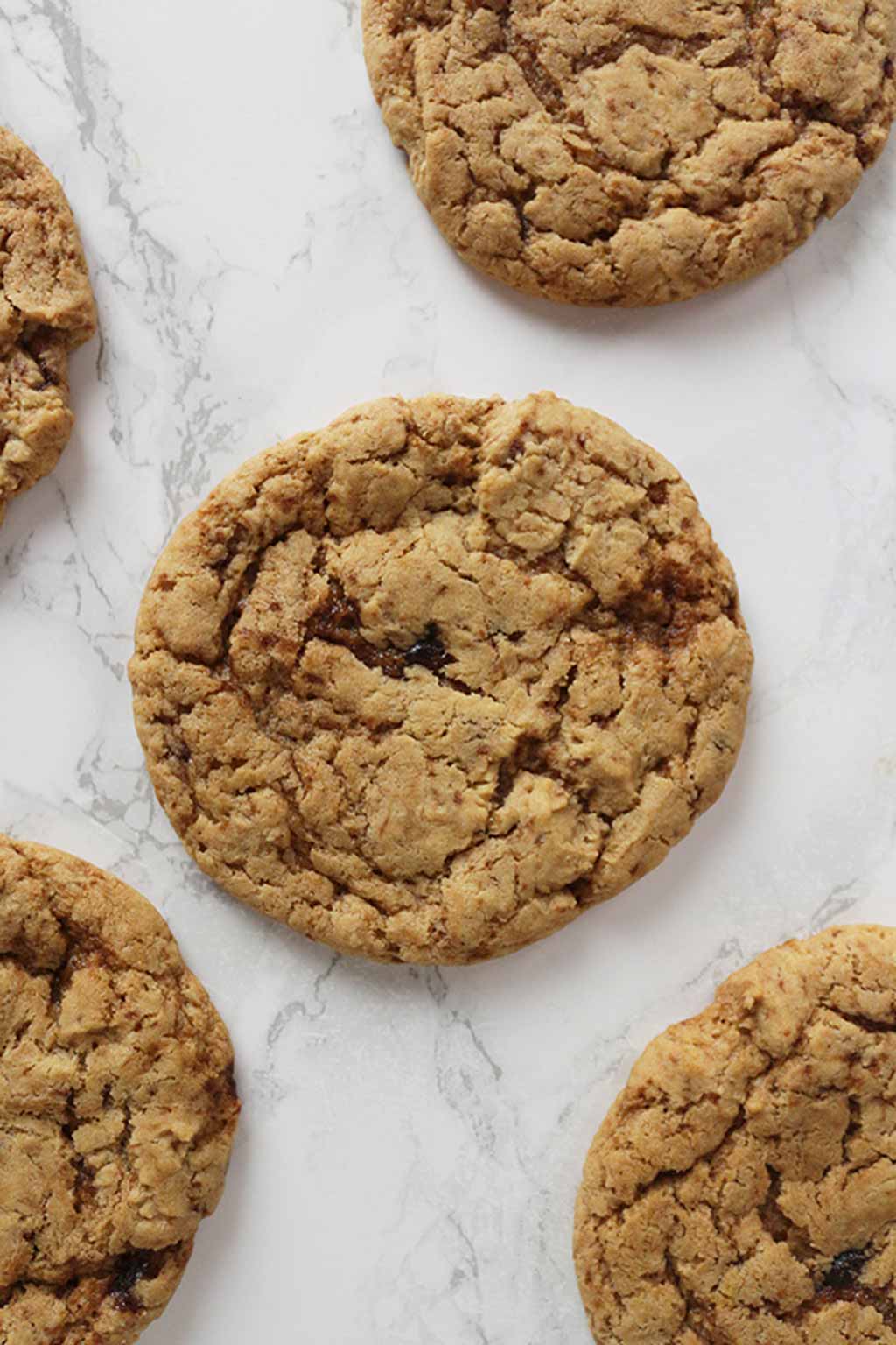 ginger Cookies Laying Flat On A White Background