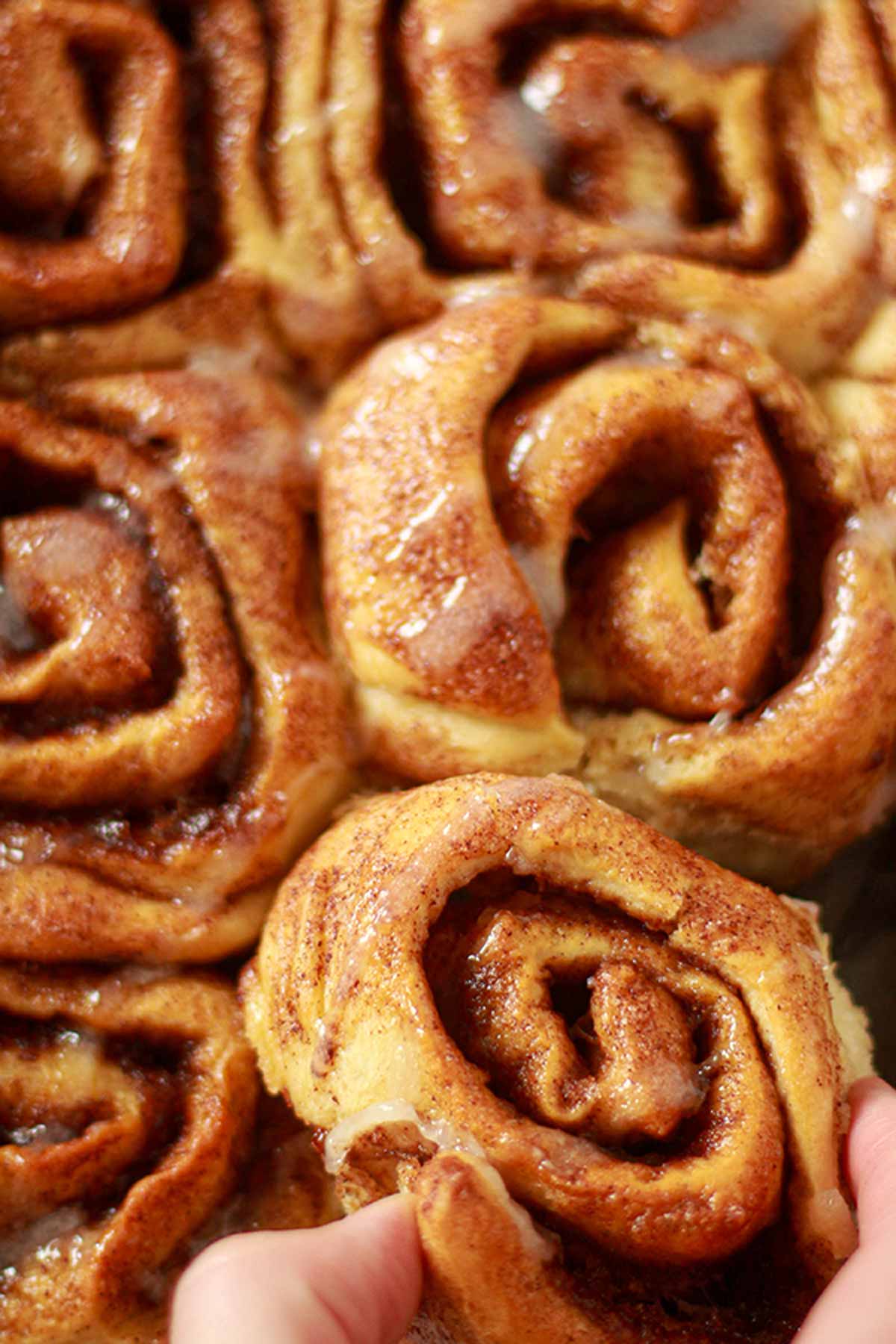 Tray Of Freshly Baked Vegan Cinnamon Rolls