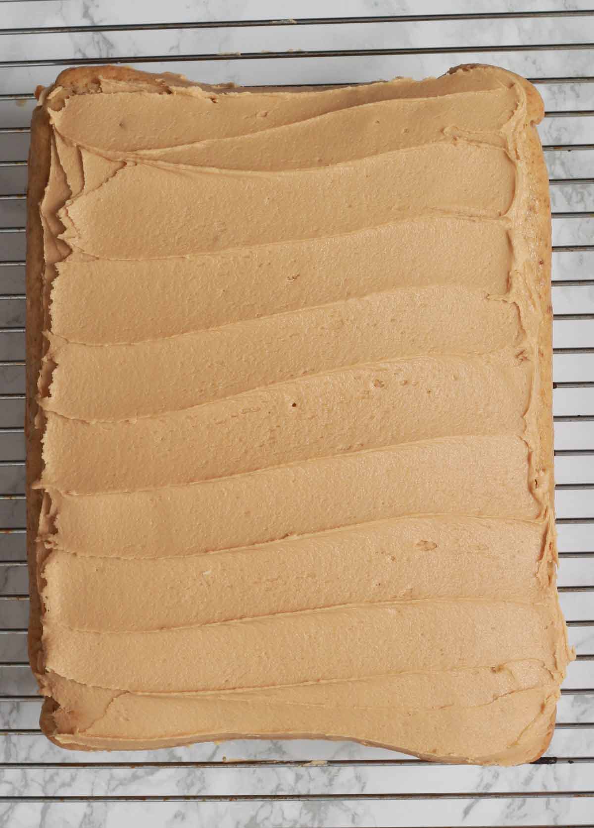 Vegan Biscoff Cake With Icing On Top