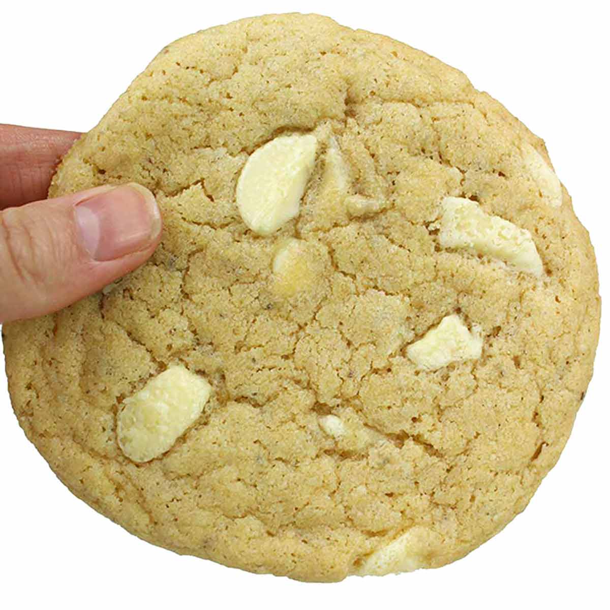 Hand Holding A White Chocolate Cookie