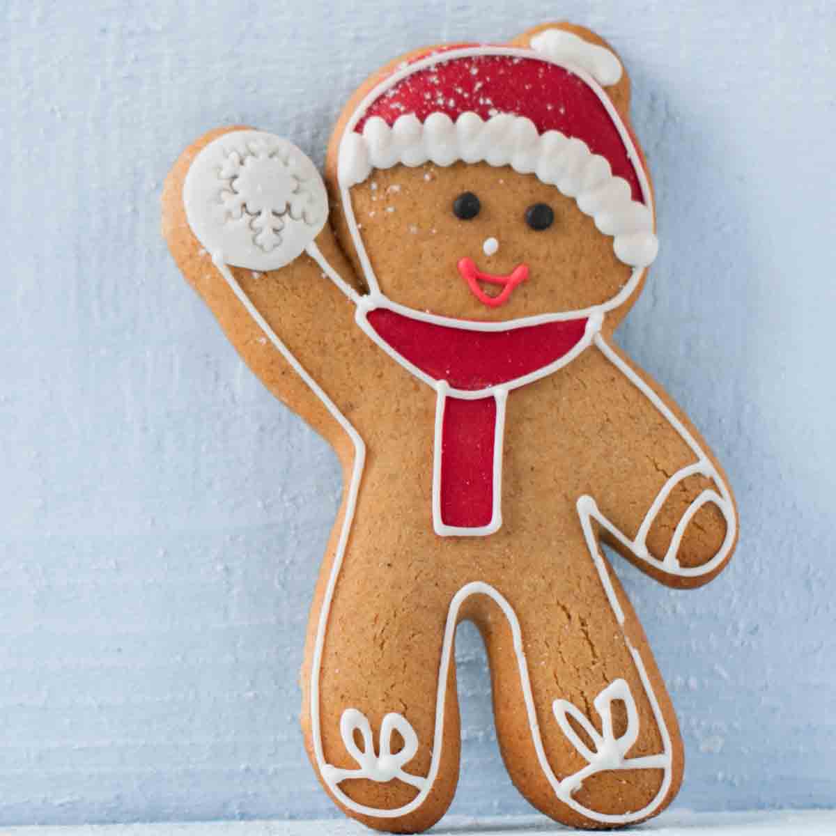 Gingerbread Man Cookie  One Of The Many Vegan Christmas Desserts To Buy