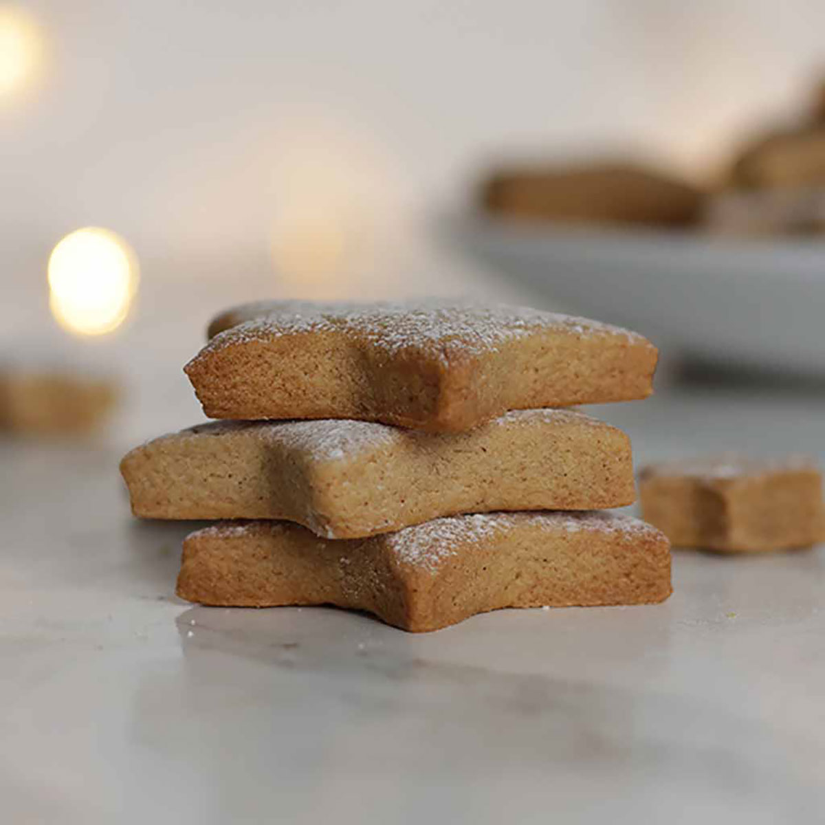 Stack Of Vegan Cinnamon Cookies