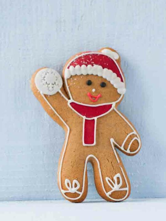 Thumbnail Image Of Gingerbread Man For Vegan Supermarket Christmas Desserts You Can Buy From Supermarkets
