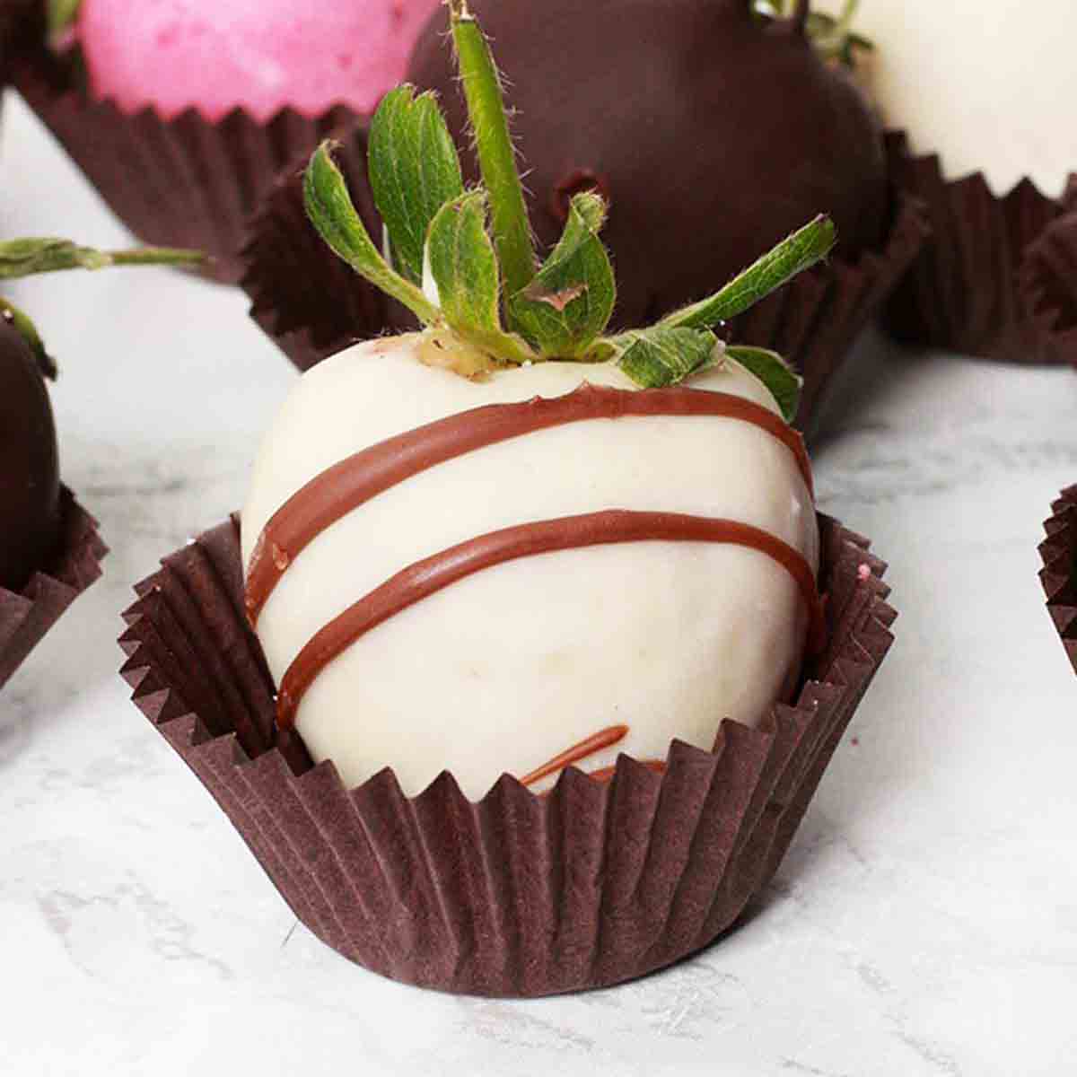 Chocolate Covered Strawberries (Dairy-Free, Vegan, Paleo) • One