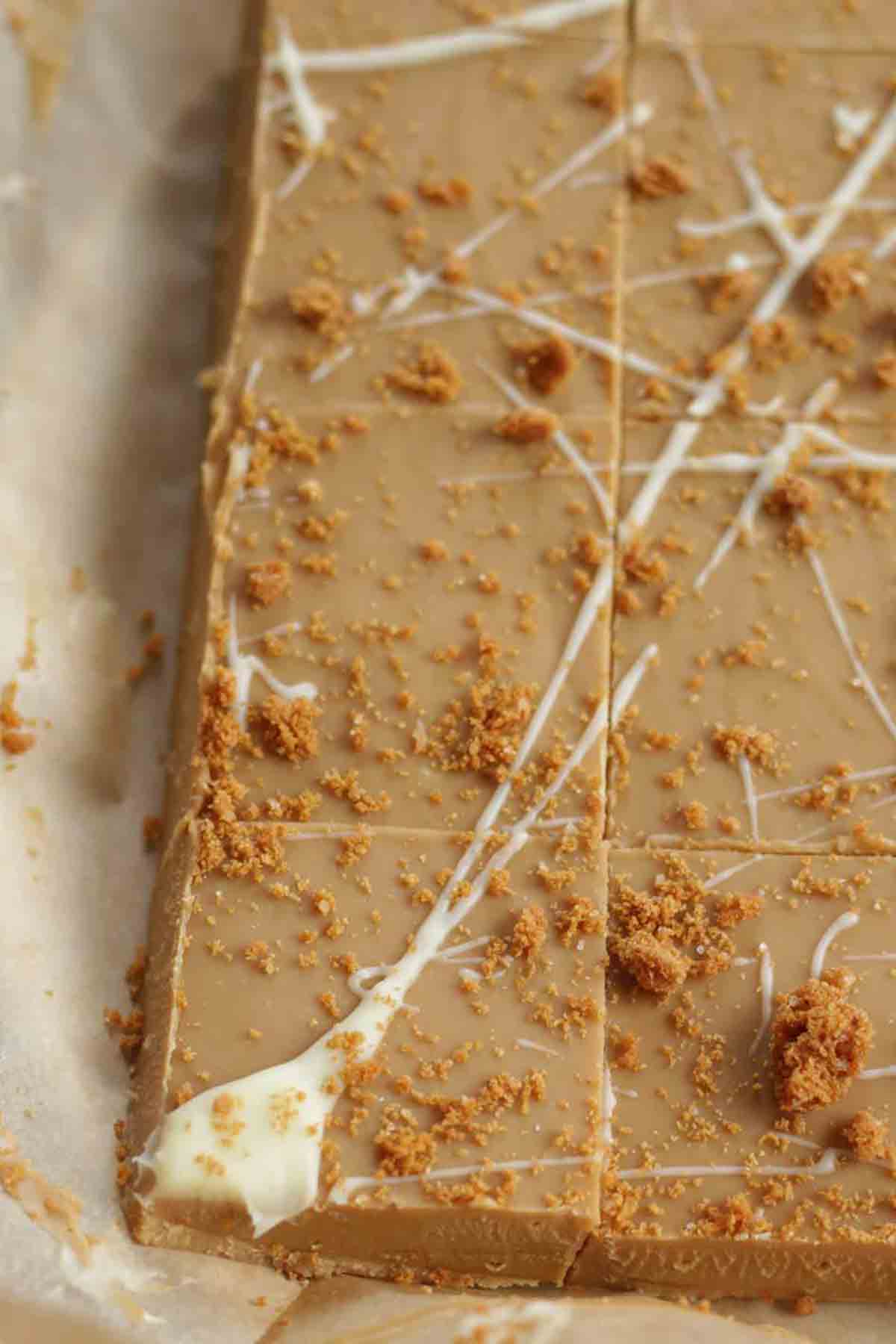 Slab Of Vegan Biscoff Fudge