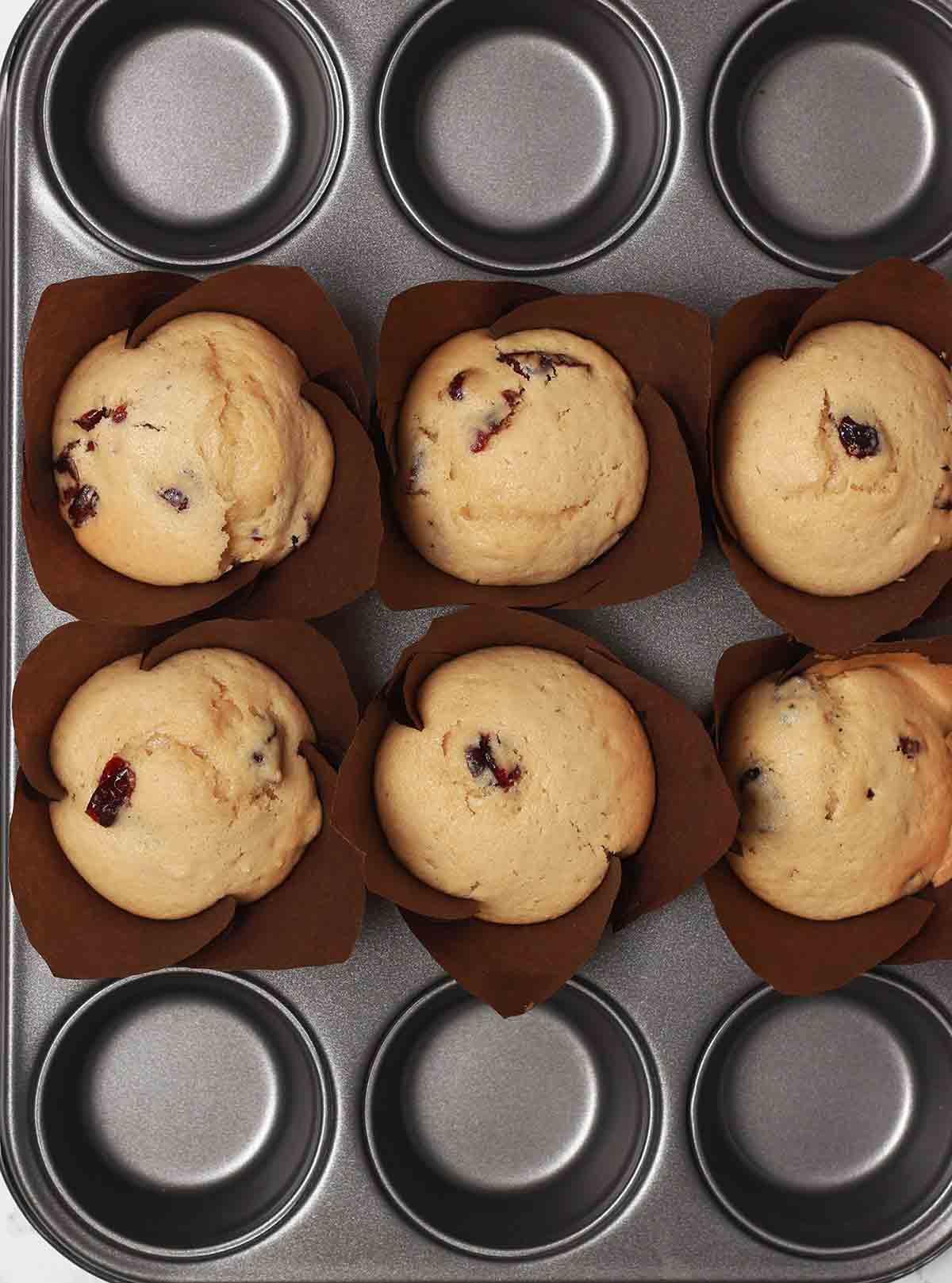 6 Muffins In Tin After Baking