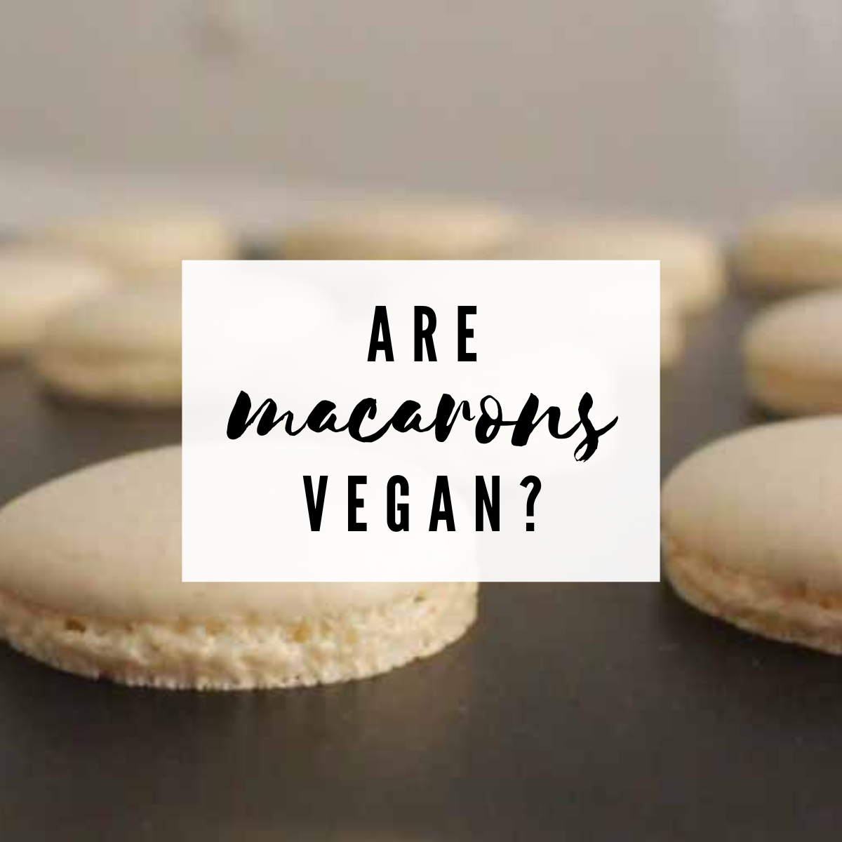 Macaron shells on tray. Text overlay reads are macarons vegan?