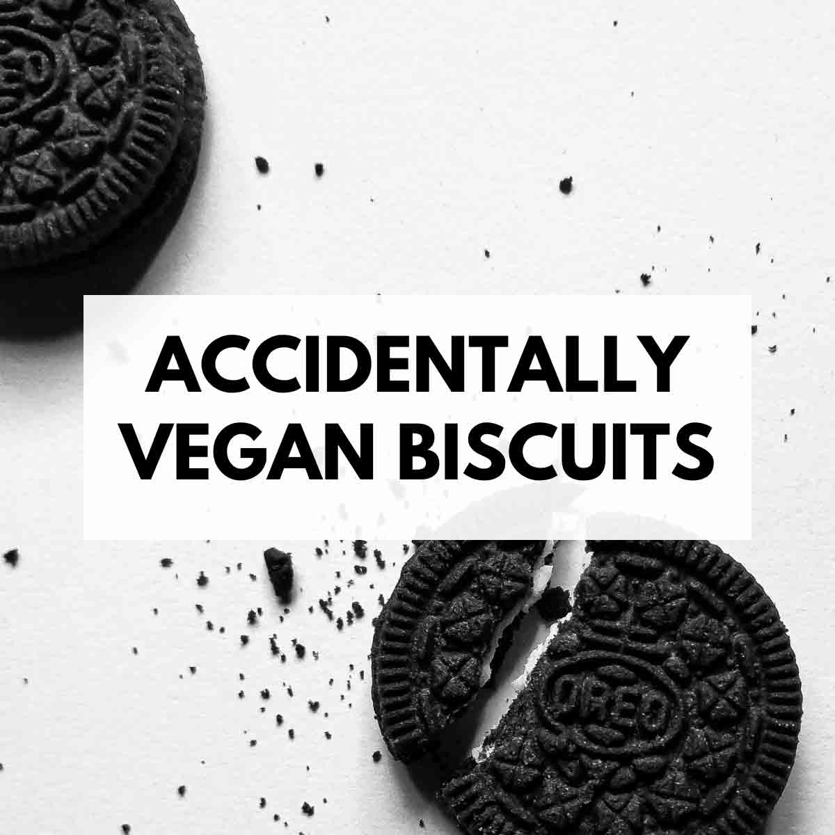 Accidentally Vegan Biscuits Thumbnail Image