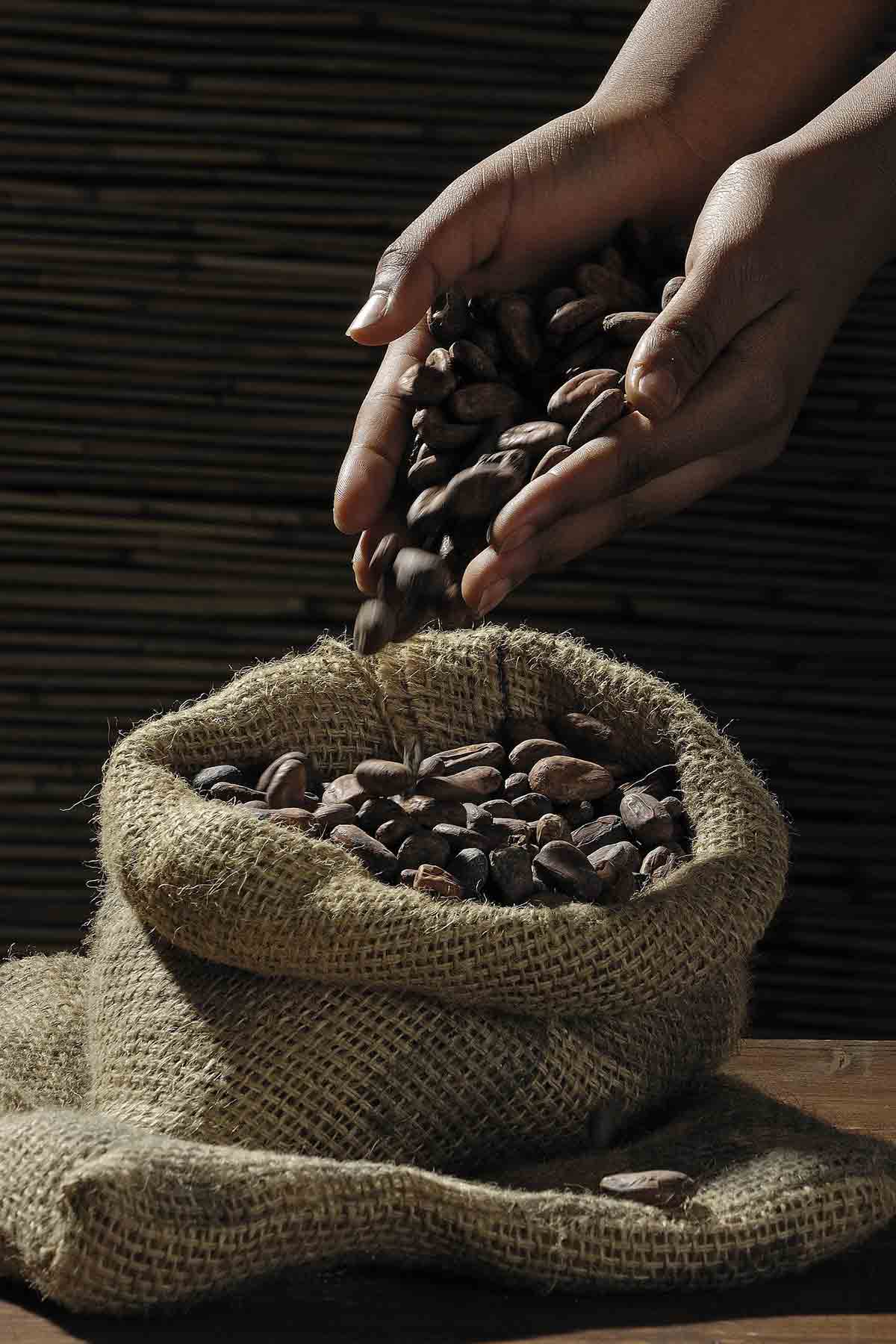 Bag Of Cocoa Beans