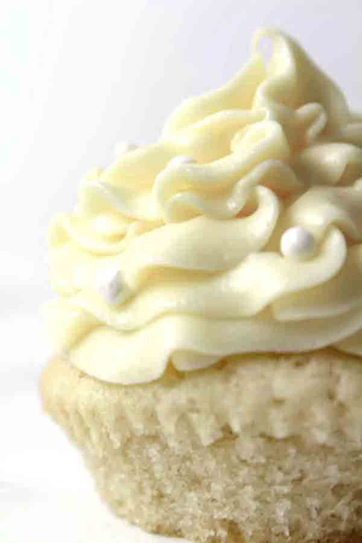 Frosted Vegan Vanilla Cupcake