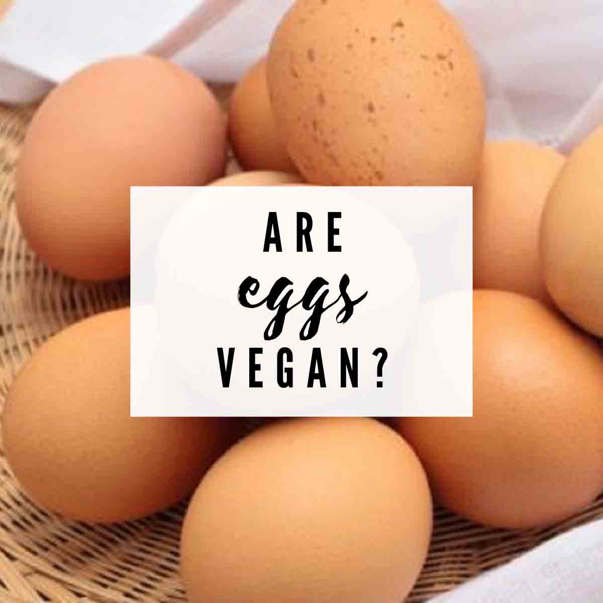 Image Of Eggs With Text Overlay That Reads Are Eggs Vegan