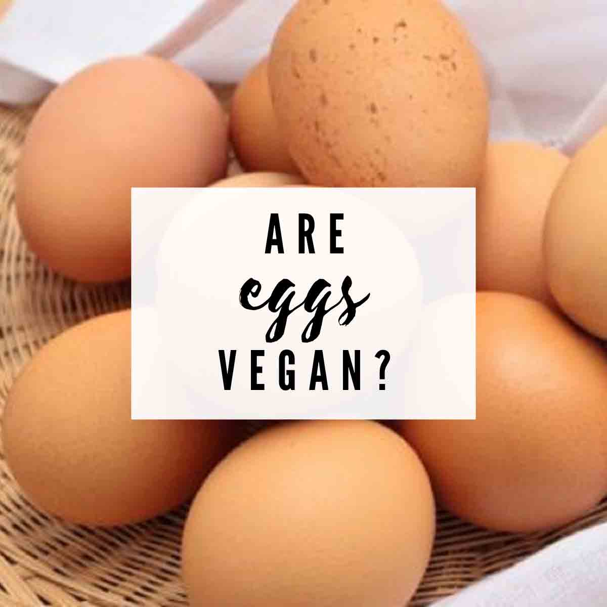 What Are Vegan Eggs, And Are They Good For You?