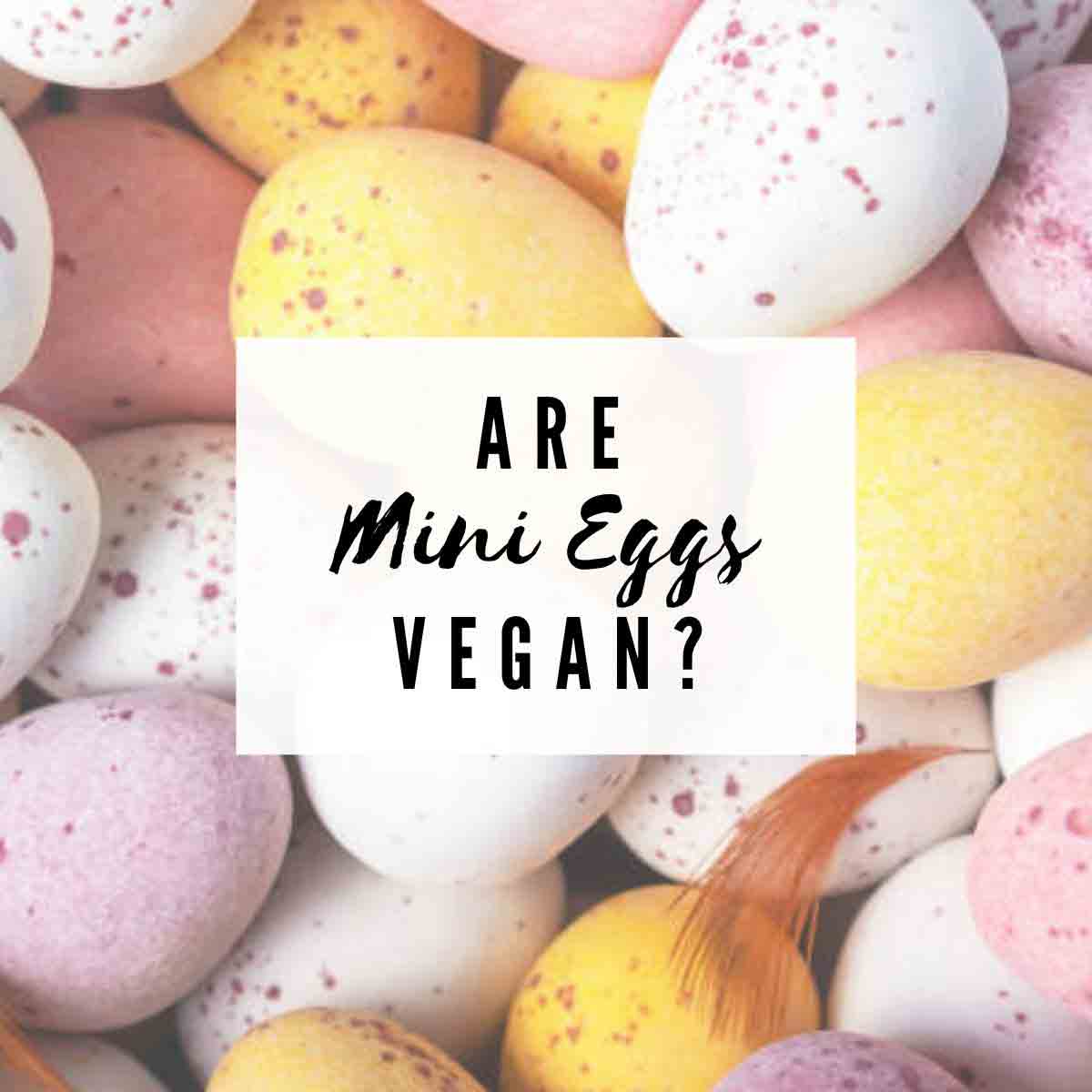 Image Of Mini Eggs With Text Overlay That Reads Are Mini Eggs Vegan