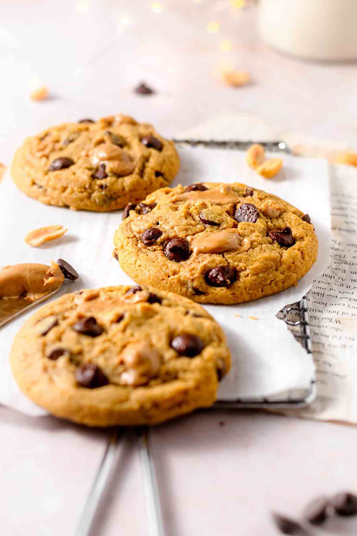 Peanut Butter Chocolate Chip Cookies