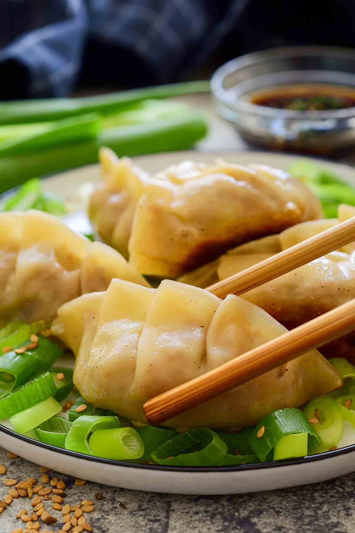 Vegan Dumplings