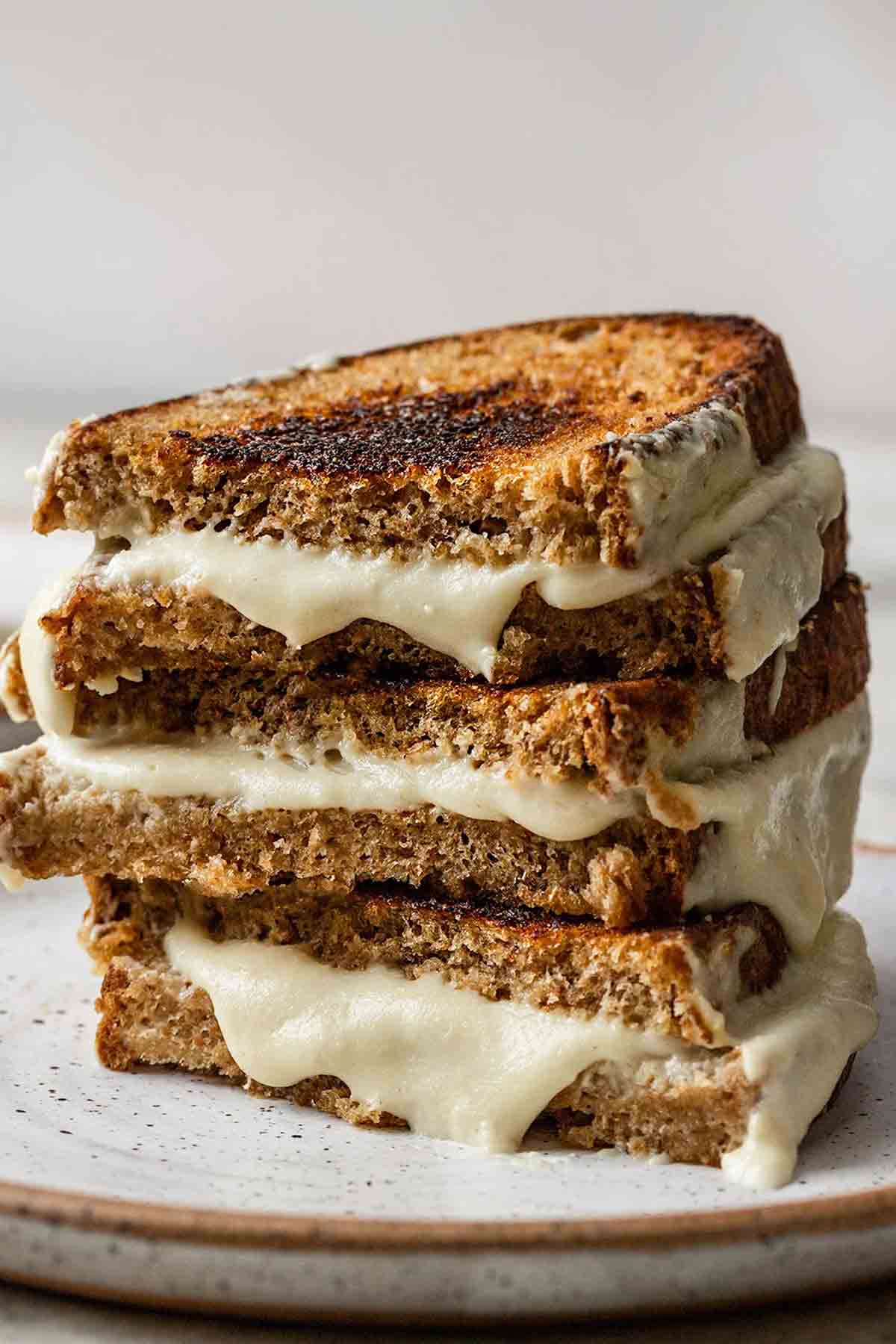 Vegan Mozzarella Sandwich