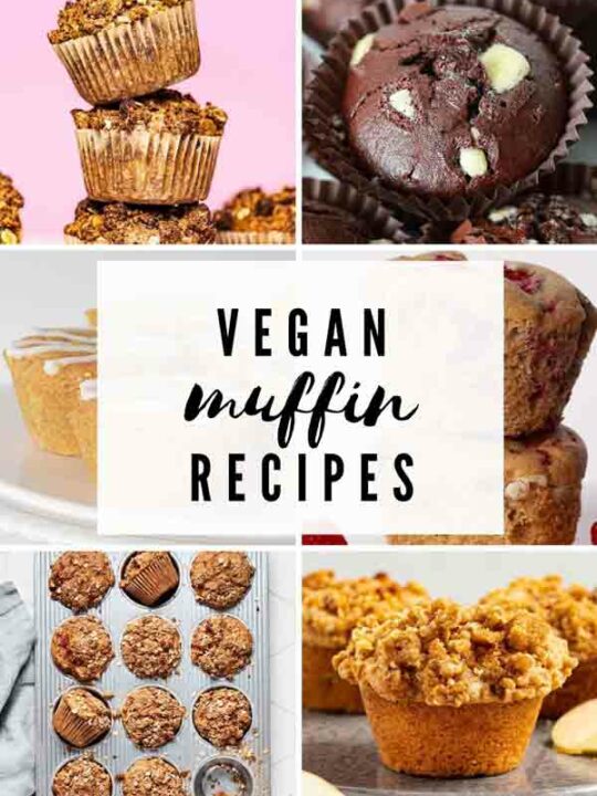 Vegan Muffin Recipes Thumbnails