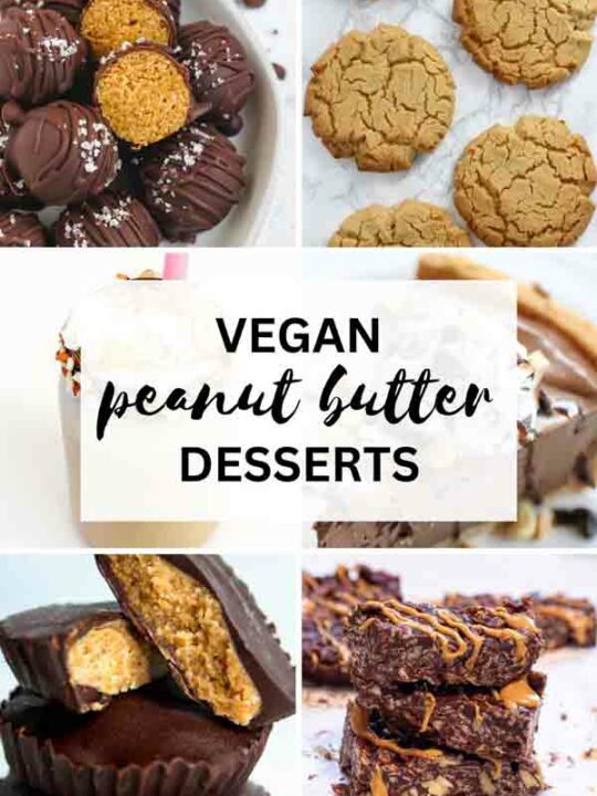 Vegan Peanut Butter Desserts Thumbnail