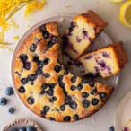 Easy Vegan Lemon Blueberry Cake