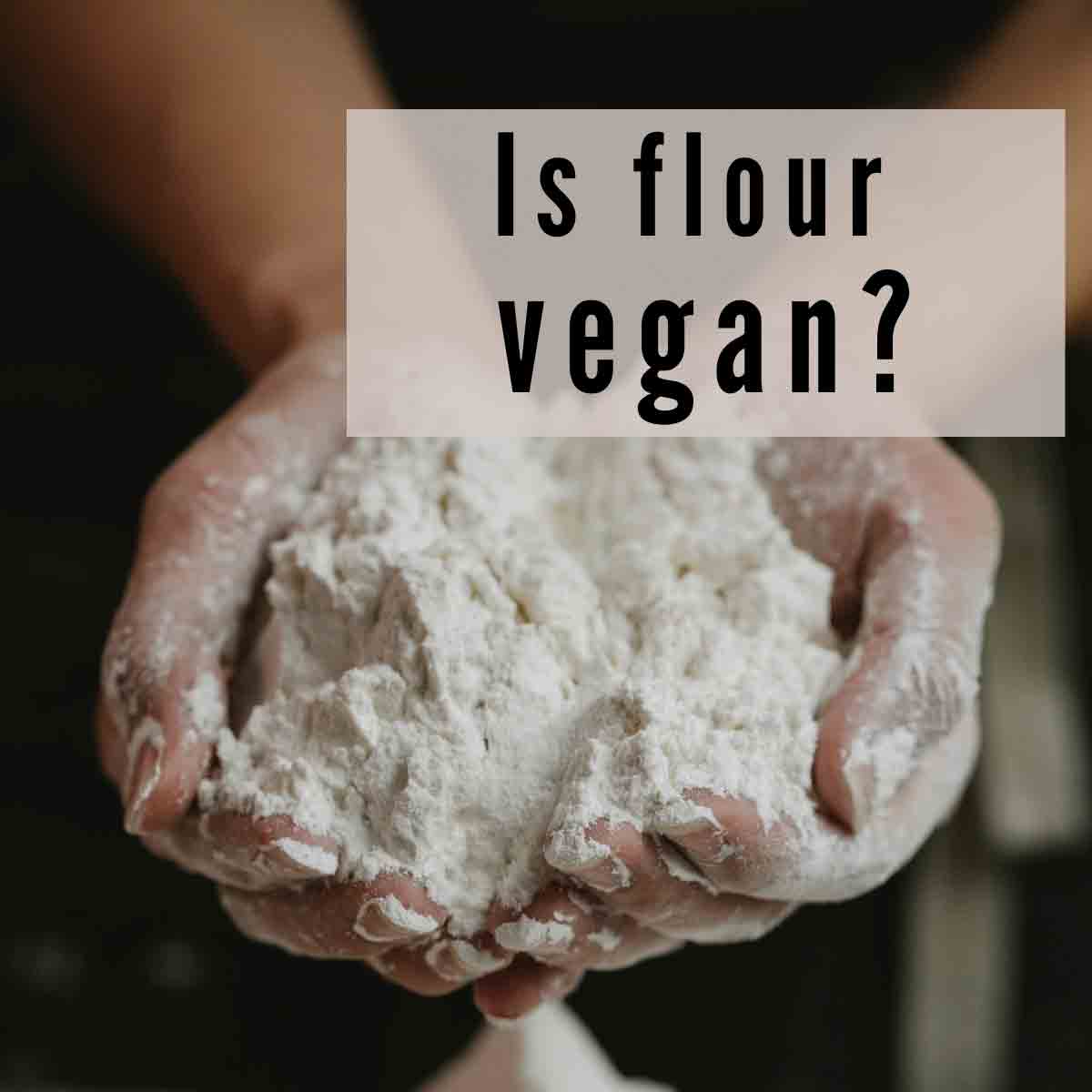 Image Of Flour In Hands With Text Overlay That Reads 'is Flour Vegan'
