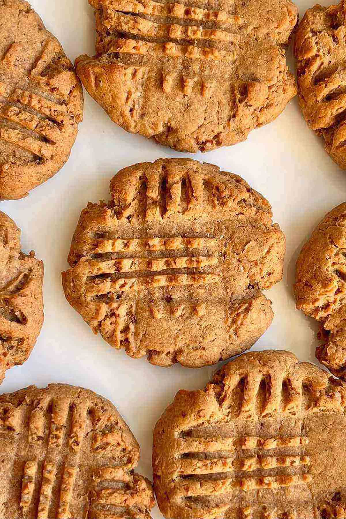 Peanut Butter Date Cookies