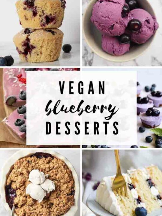 Thumbnail Image Collage Of Vegan Blueberry Desserts