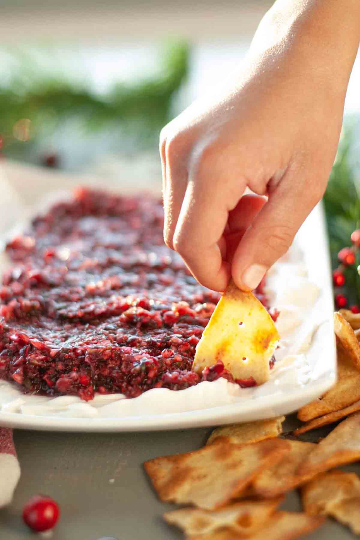 Holiday Cranberry Salsa Dip