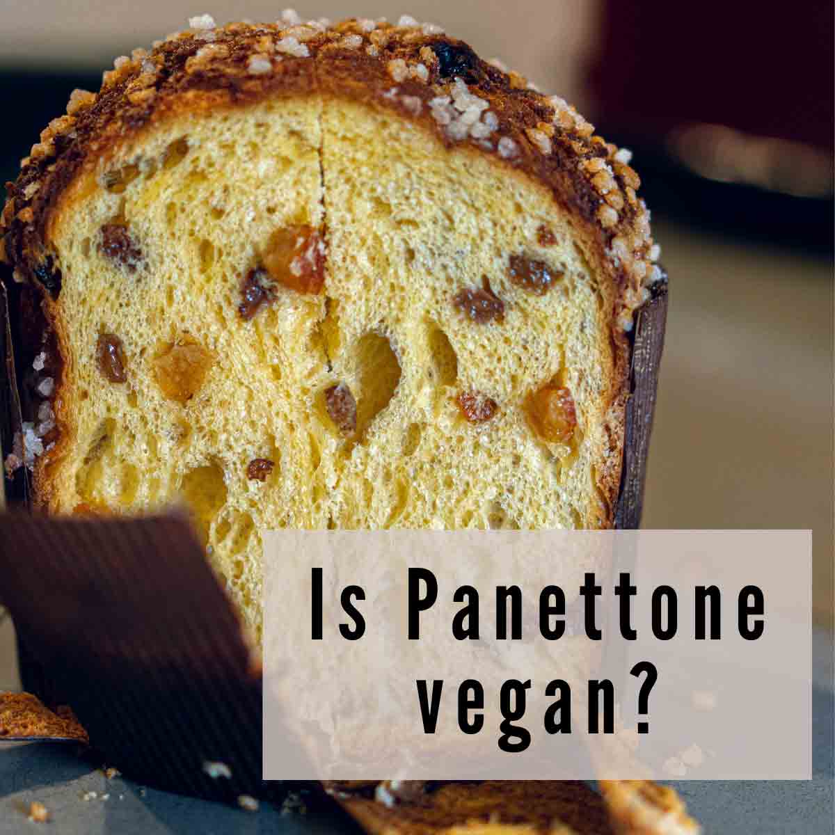 Image Of Panettone With Text Overlay That Reads Is Panettone Vegan