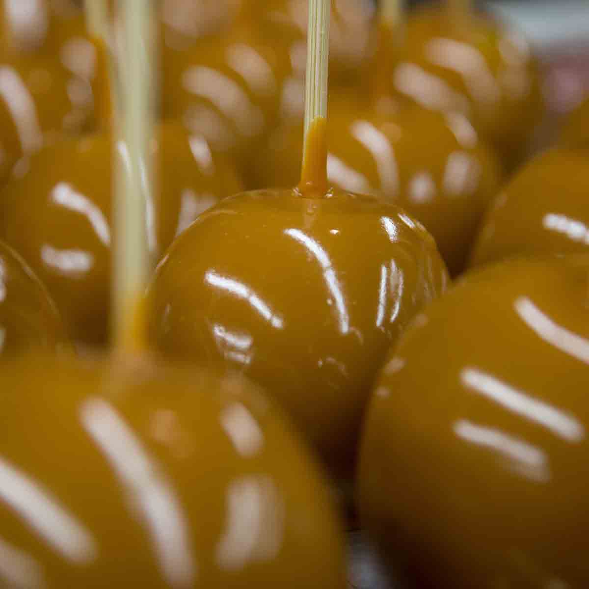 Caramel Covered Apples