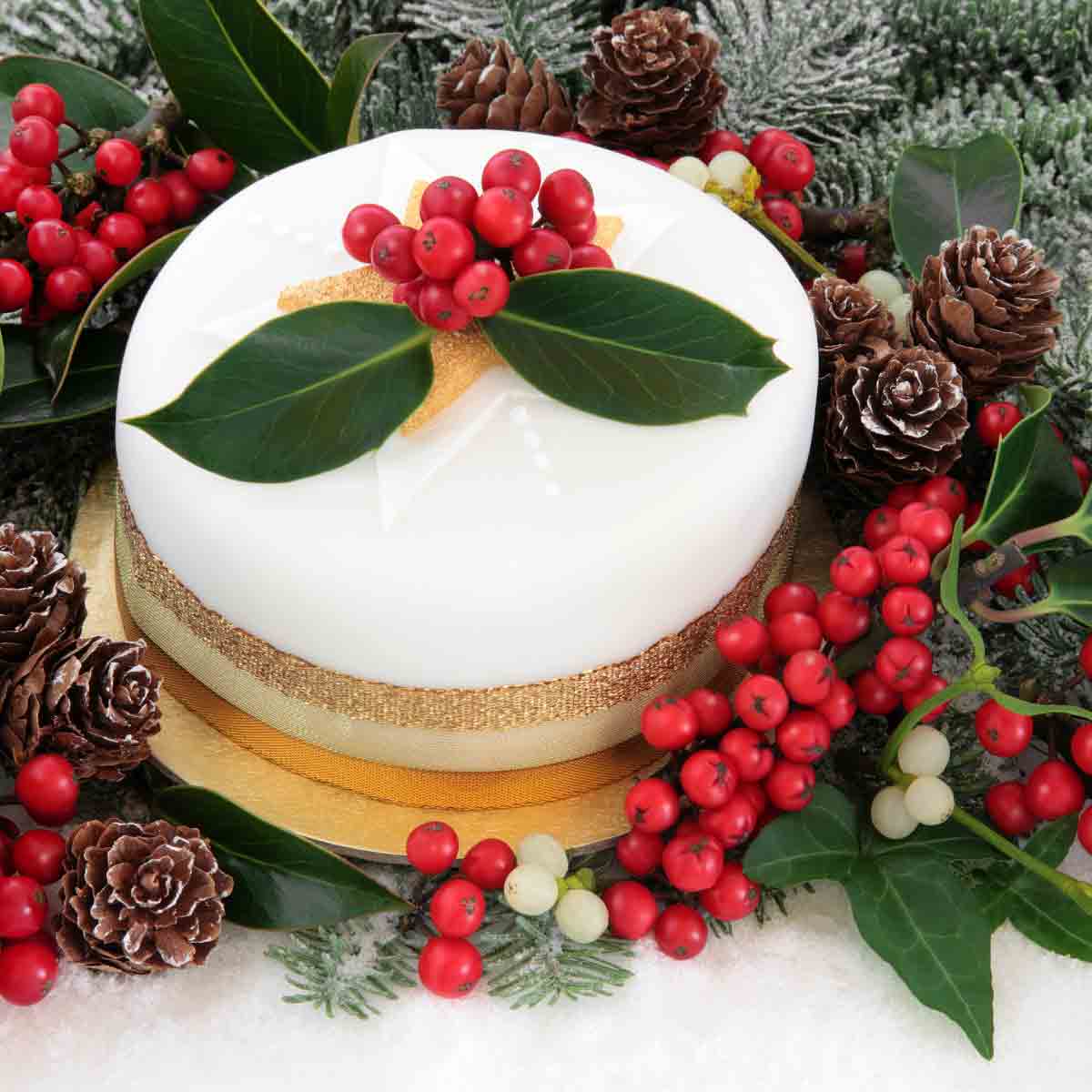 Is It Vegan Iced Christmas Cake