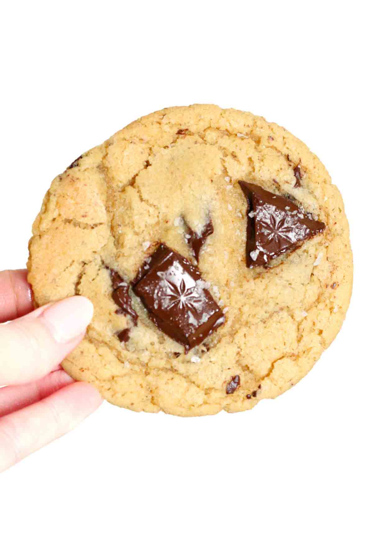 Holding A Cookie Up Against A White Background