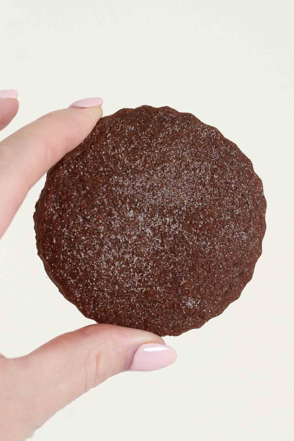 Hand Holding Up One Vegan Chocolate Shortbread Biscuit